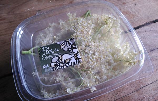 Flor de saúco fresca