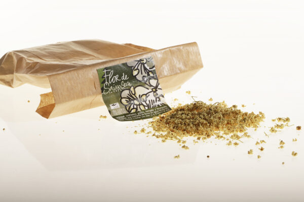 flor seca